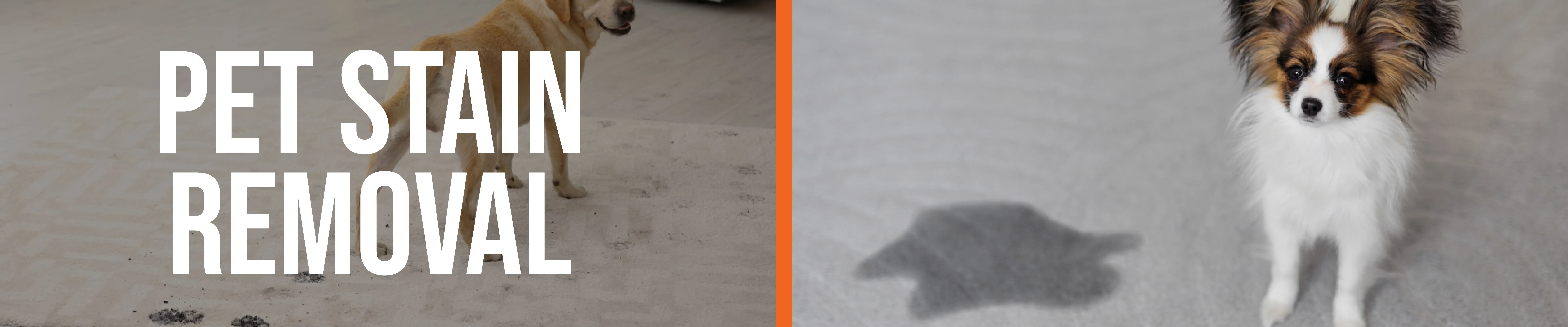 carpet cleaning in the Bronx, carpet cleaning in the Bronx, carpet cleaning the Bronx, carpet cleaners in the Bronx, carpet cleaners in the Bronx, commercial carpet cleaning, commercial carpet cleaning in the Bronx, the Bronx rug cleaners, rug cleaning services in the Bronx, same day carpet cleaning, same day rug cleaning
